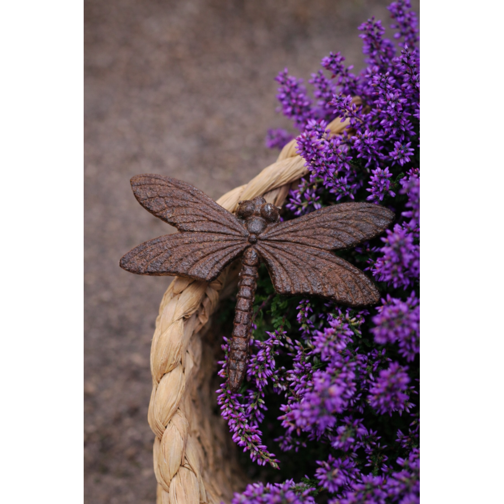 Cast Iron Insects Cast Iron Insects Assorted 14x3x11cm