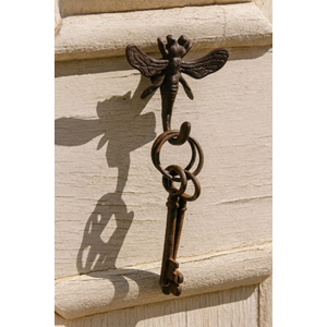 FullImage