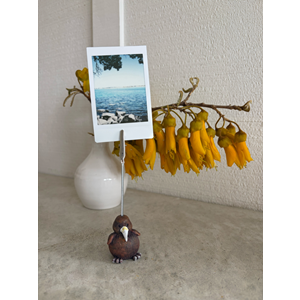 FullImage